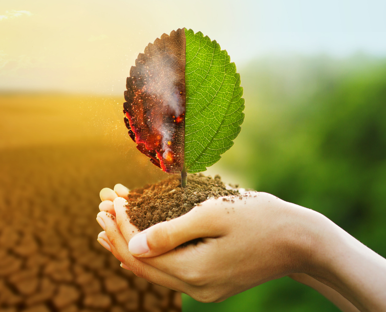 Climate Change and Mental Health Integration